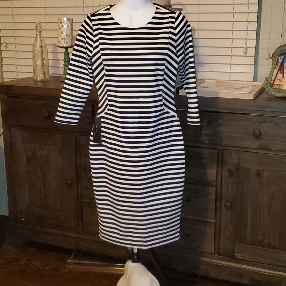 NWT BodyCon Dress